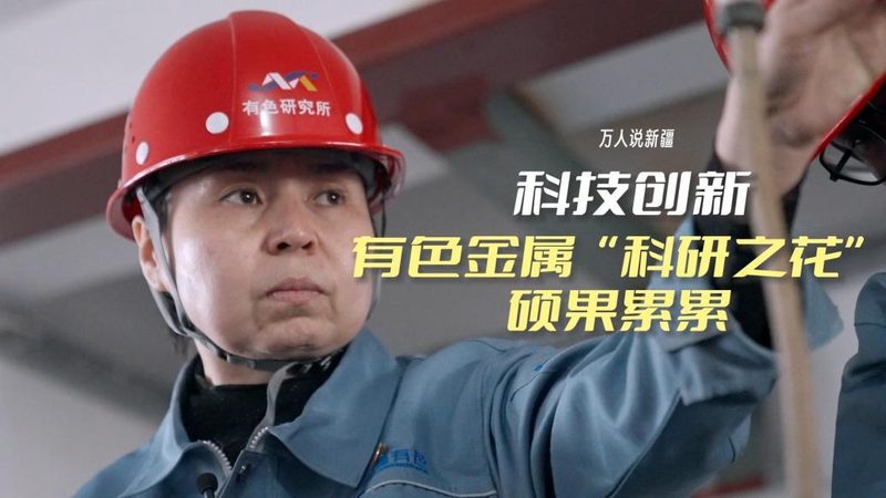 品牌手册：科技公司塑造专业形象的秘籍**